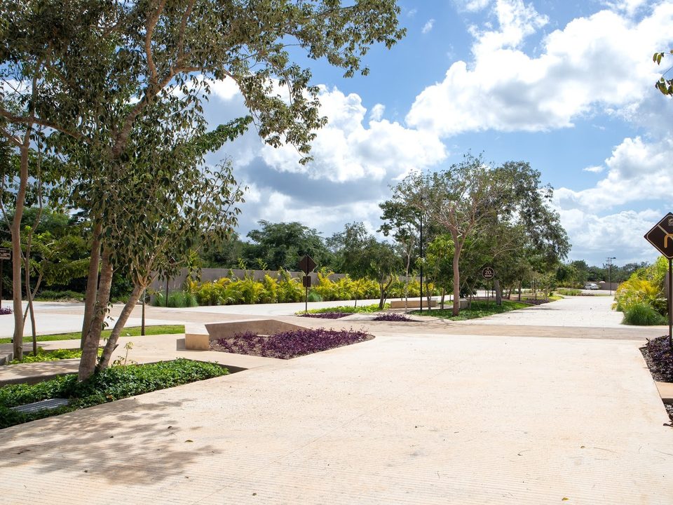 Campo Magno, terrenos en Temozón Norte, Yucatán · foto 5