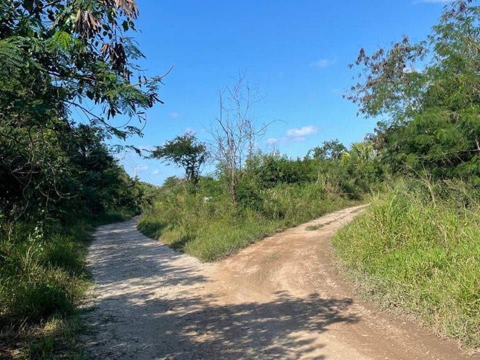 Fincas Mocochá, terrenos en Mocochá, Yucatán · foto 3