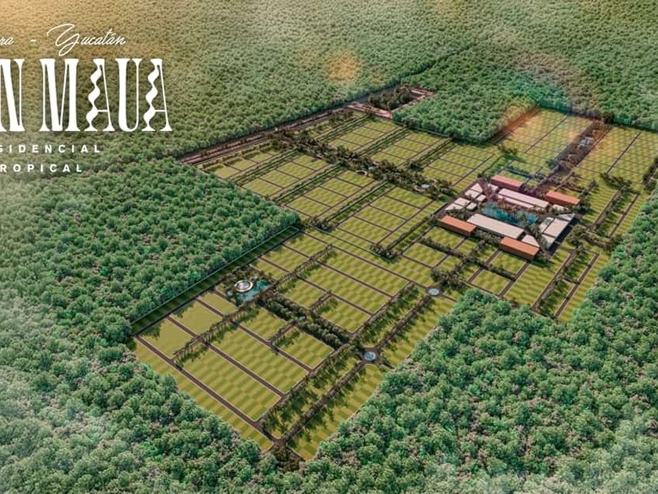 Gran MAUA, terrenos en Santa Clara, Yucatán · foto 3