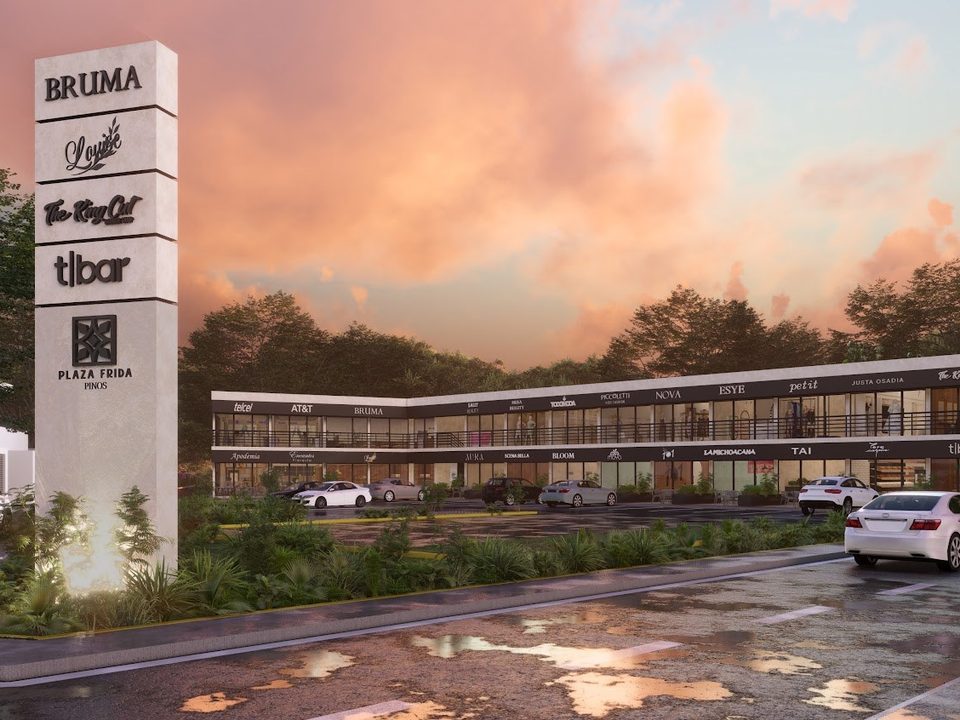 Plaza Frida Los Pinos, locales en Fraccionamiento Residencial Los Pinos, Yucatán · foto 3