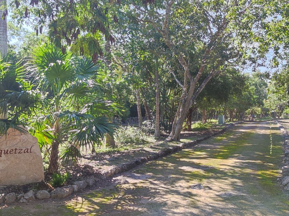 Puerta Mayab Eco-Residencial, terrenos en Dzibilchaltún, Yucatán · foto 5