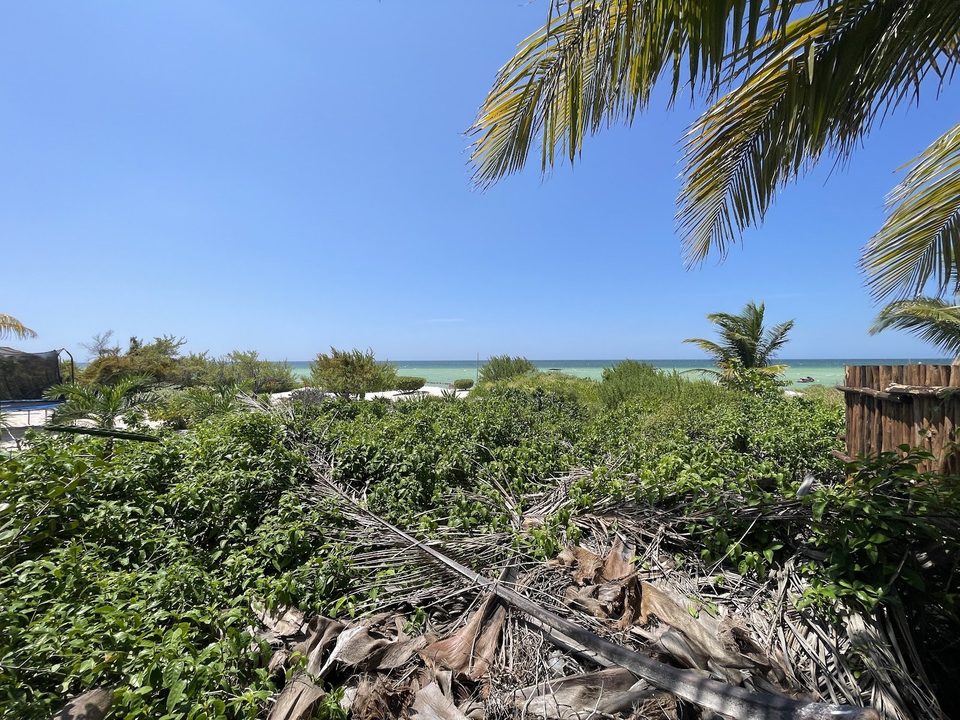 Terreno San Bruno, terrenos en San Bruno, Yucatán · foto 2