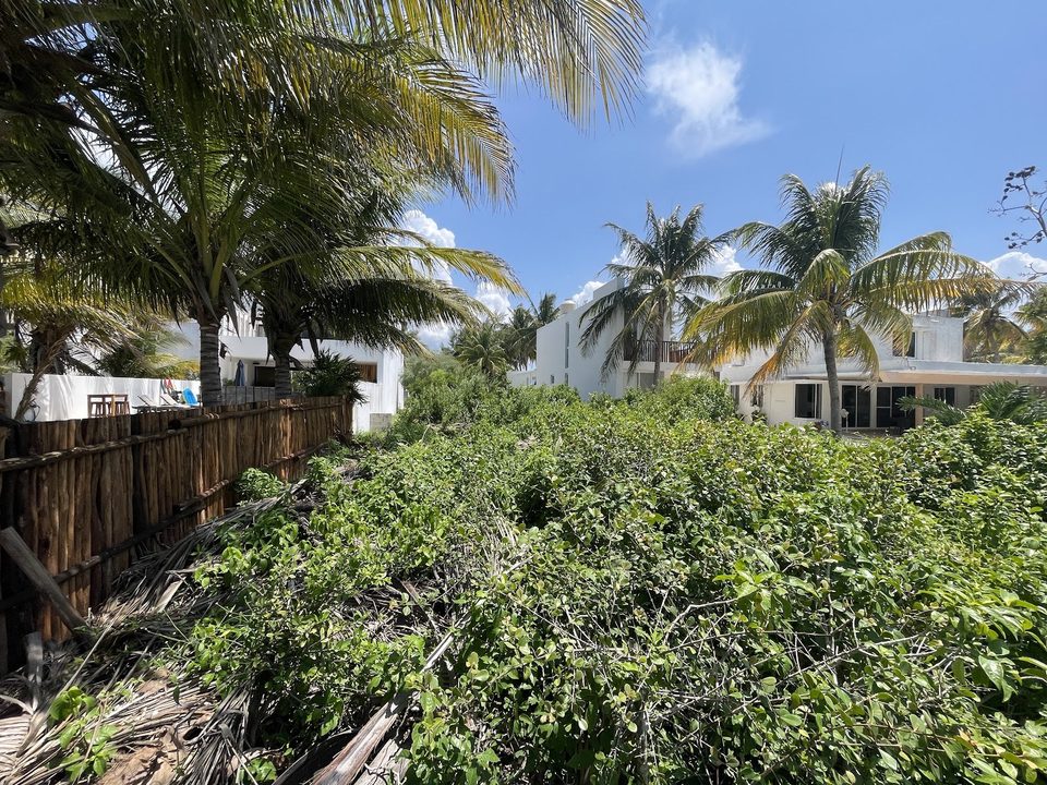 Terreno San Bruno, terrenos en San Bruno, Yucatán · foto 3