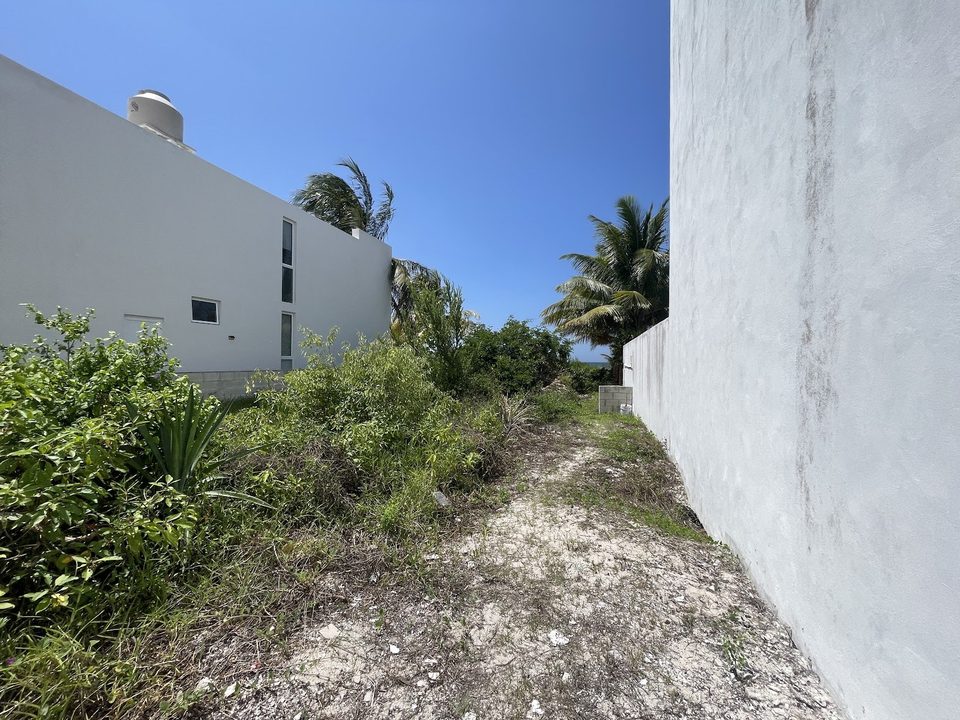 Terreno San Bruno, terrenos en San Bruno, Yucatán · foto 4