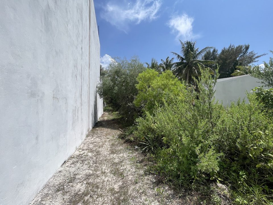 Terreno San Bruno, terrenos en San Bruno, Yucatán · foto 5