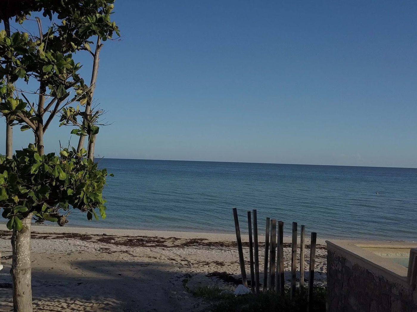 Soletta Chicxulub, terrenos en Chicxulub Puerto, Yucatán · foto 3