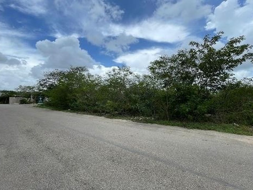 Terrenos Conkal - Lotes 10 y 11, terrenos en Conkal, Yucatán · foto 2