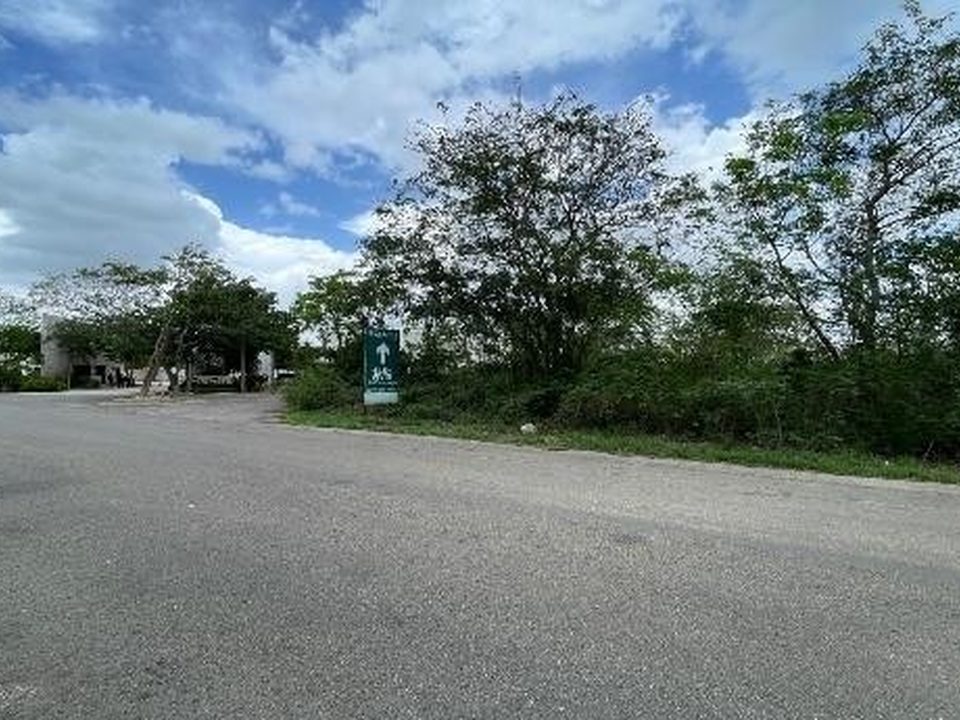 Terrenos Conkal - Lotes 10 y 11, terrenos en Conkal, Yucatán · foto 3