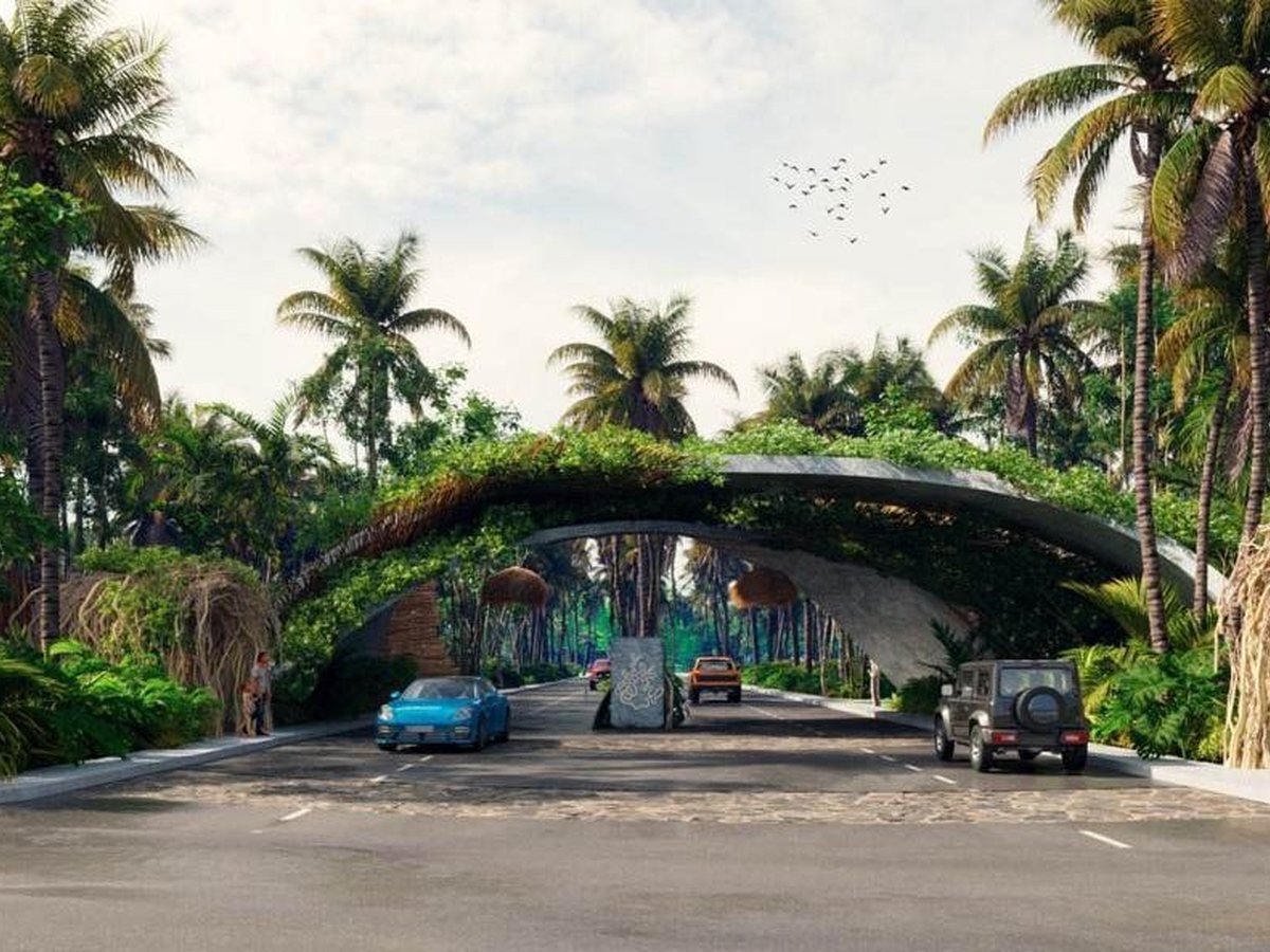 Gran MAUA, terrenos en Santa Clara, Yucatán · foto 2