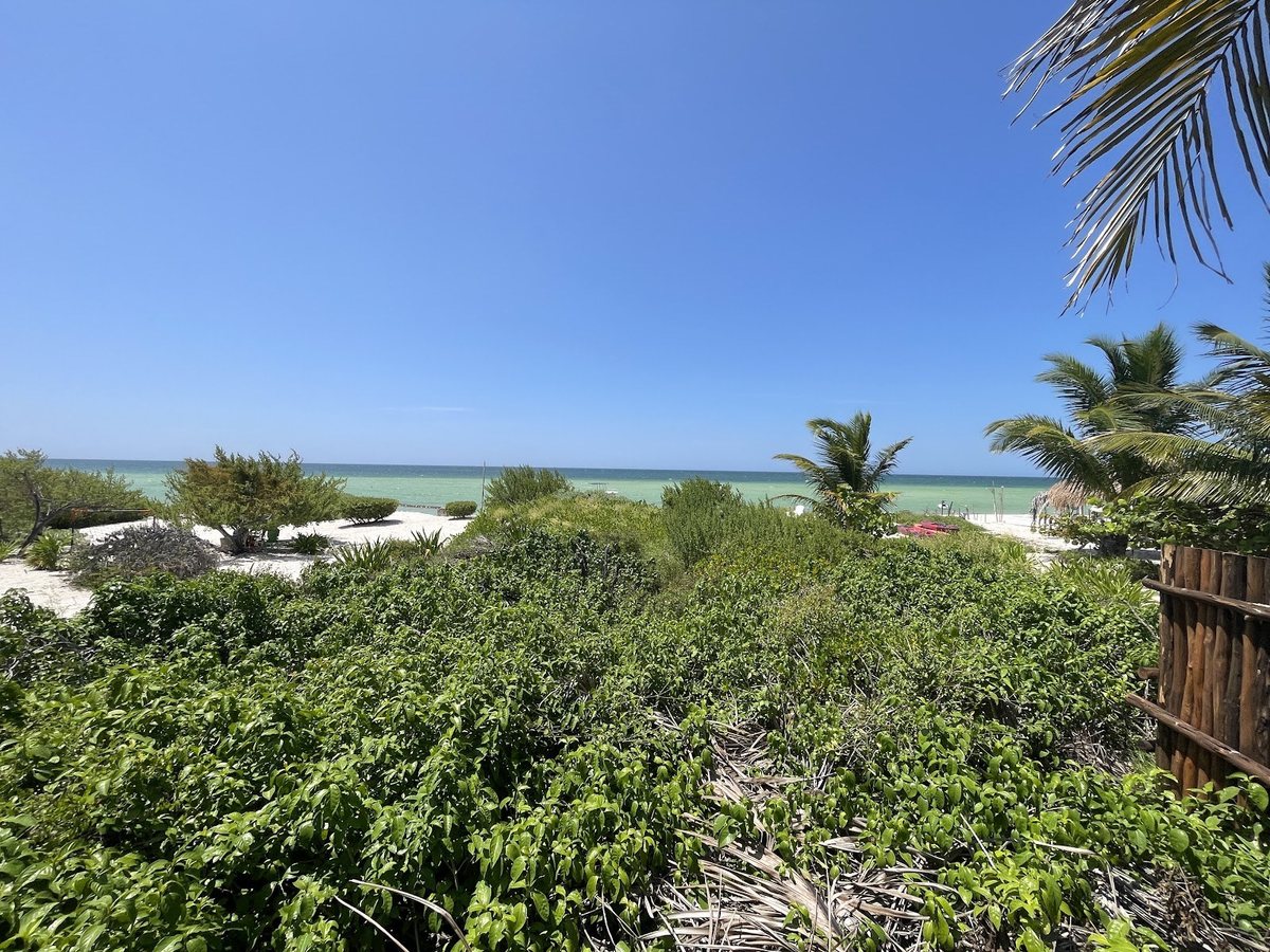 Terreno San Bruno, terrenos en San Bruno, Yucatán · foto 1