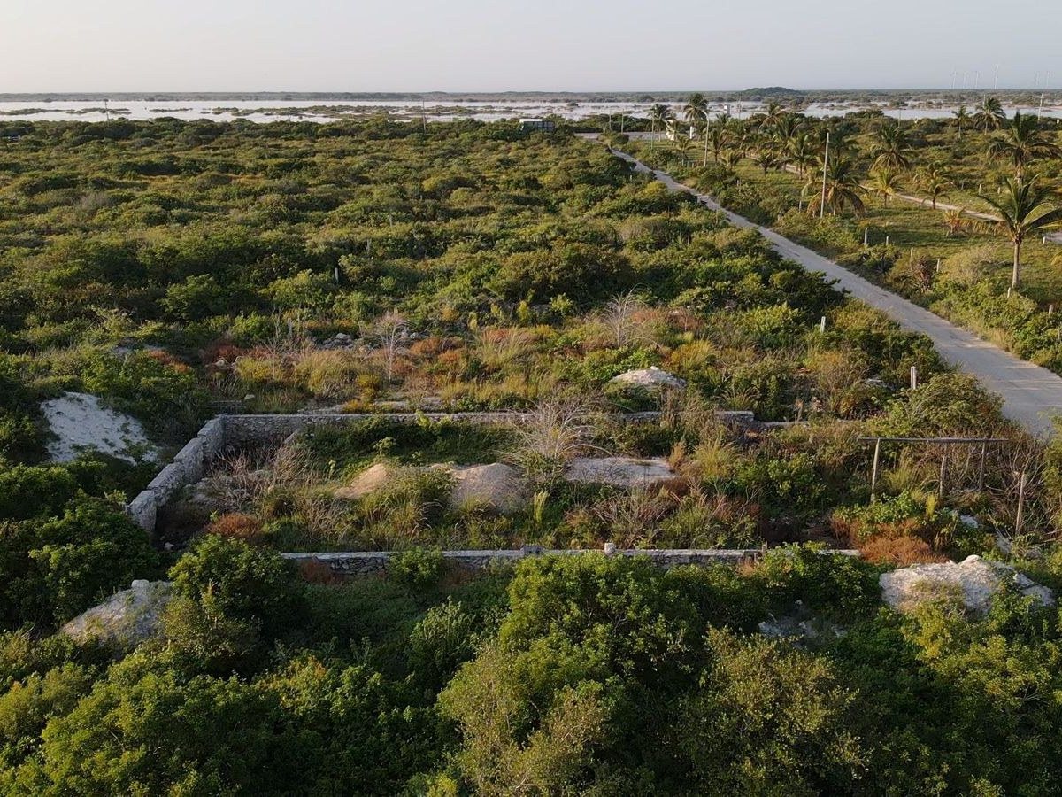 Terreno Costa Clara km 11.5, terrenos en Chicxulub Puerto, Yucatán · foto 1